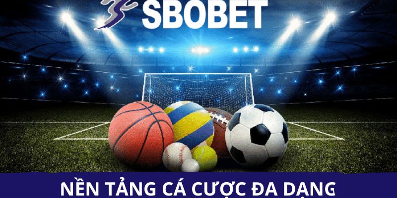 Đôi nét về nền tảng sbobet