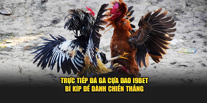 avt